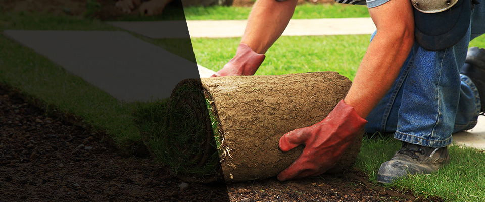 Washington Landscapers